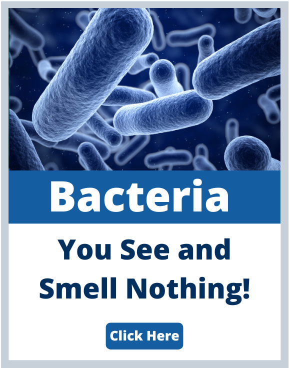 E-Coli bacteria water issue