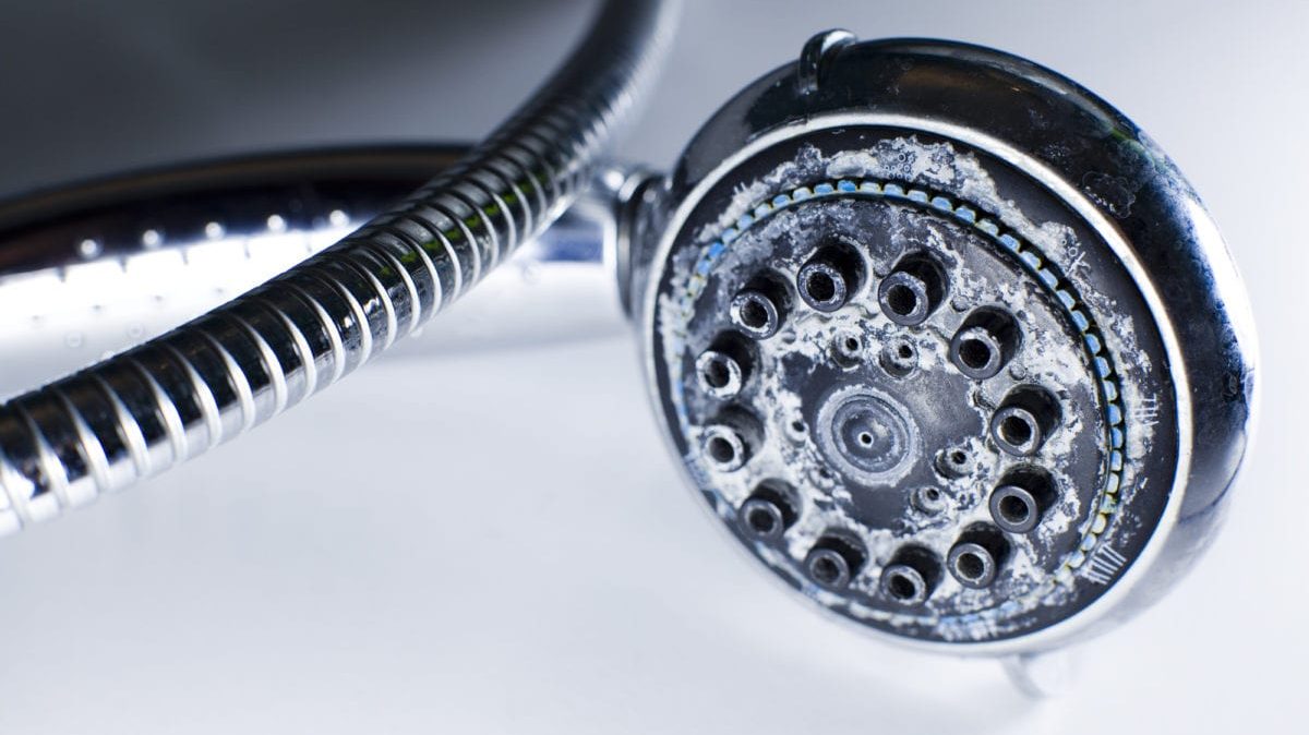 Close-up of a shower head with hard water buildup